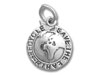 Save the Earth Charm