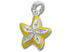 Sterling Silver Enamel Star Charm