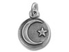 Silver Moon and Star in Disc Charm