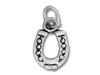 Horseshoe Charm