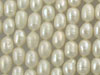 White Oval Freshwater Pearls