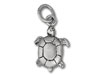 3D Turtle Charm
