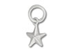 3D Star Charm