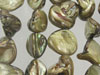 Brownish Green Mother of Pearl