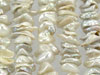 White-Silver Heishi Style Pearls