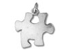 Large Puzzle Autism Charm