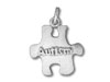 "Autism" in Puzzle Charm