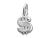 Medium Money Sign Charm