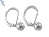 6mm Ball with Lever Back Earrings