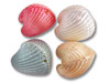 Enamel Heart Shells