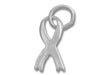 Awareness Ribbon Charm