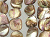 Balone Shell Mother of Pearl