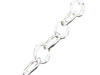 Silver Chain