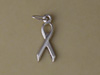 Silver Awareness Ribbon Charm