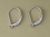 Leverback Earrings