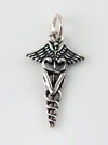 Veterinary Medical Charm