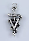 Veterinary Symbol Charm