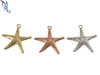 Large Starfish Charm