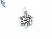 Physical Therapist Charm