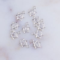 Tiny Star of David Tags