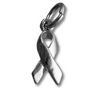 Sterling Silver Awareness Ribbon Charm