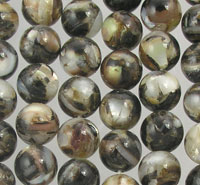 8mm Tahiti Abalone Shell