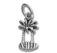 Palm Trees Charm