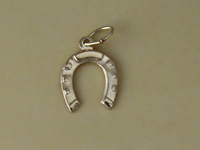 Gold Filled Horseshoe Charm