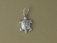 Silver Turtle Charm