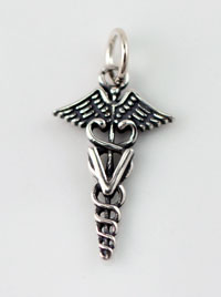 Veterinary Medical Charm