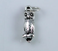 Owl Charm