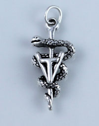 Vet Technician Charm