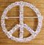 Peace Sign Pin