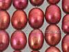 Bright Red/Pink Freshwater Pearl