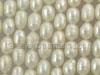 White Oval Freshwater Pearls