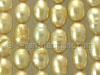 Champagne Oval Freshwater Pearls