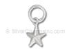 3D Star Charm