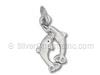 Two Jumping Dolphins Charm