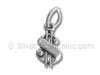 Dollar Sign Charm