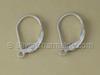Leverback Earrings