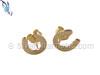 Gold Filled Horseshoe Earrings