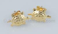 Gold Filled Turtle Earrings