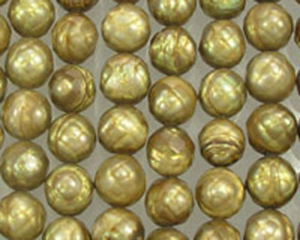 Lustrous golden round pearls in rows