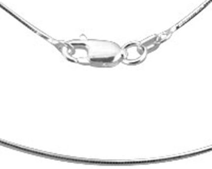 Close-up of silver chain lobster clasp