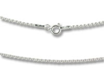 Close-up silver chain necklace with spring clasp