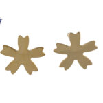 Star Shape Earrings