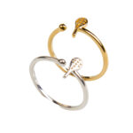 Tennis Racket with Ball Adjustable Ring