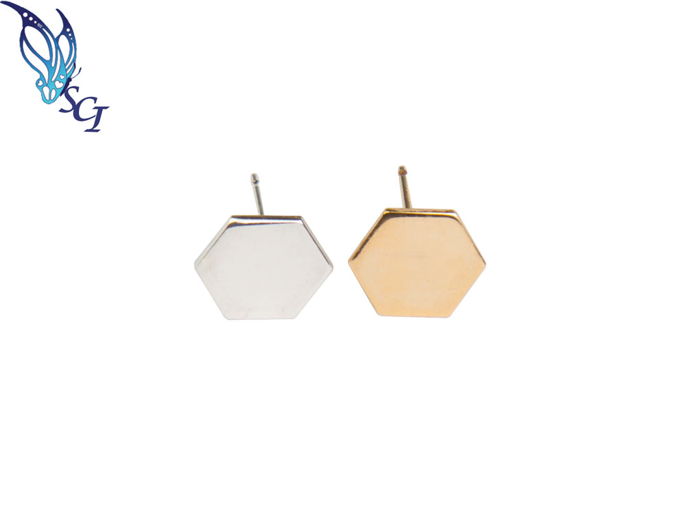 Hexagon Stud Earrings Hexagon Stud Earrings
