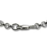 Close-up silver chain with clasp