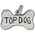 Silver bone-shaped pet tag reading TOP DOG